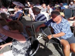 Optreden Lokeren